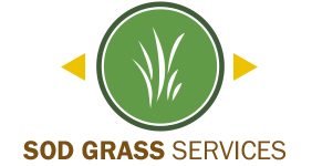 Grass - Grass Sod